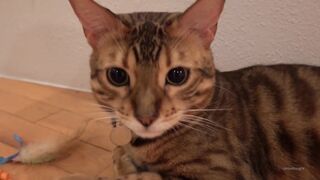 [38 of 83 Vids] lilredzoe (zoe aka canbebought) OnlyFans Leaks Nude Petite Ginger