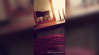 [116 of 164 Vids] lilLynn Lew (wh1tnywiscons1n) OnlyFans Leaks Nude