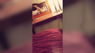 [164 of 164 Vids] lilLynn Lew (wh1tnywiscons1n) OnlyFans Leaks Nude