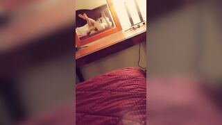 [164 of 164 Vids] lilLynn Lew (wh1tnywiscons1n) OnlyFans Leaks Nude