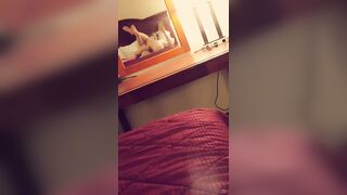 [164 of 164 Vids] lilLynn Lew (wh1tnywiscons1n) OnlyFans Leaks Nude