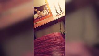 [164 of 164 Vids] lilLynn Lew (wh1tnywiscons1n) OnlyFans Leaks Nude