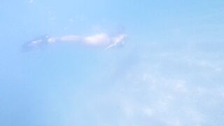 [2 of 85 Vids] Kimtylor_ (Kim Tylor_VIP) OnlyFans Leaks Nude 