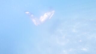 [2 of 85 Vids] Kimtylor_ (Kim Tylor_VIP) OnlyFans Leaks Nude 