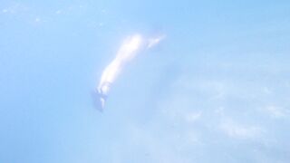 [2 of 85 Vids] Kimtylor_ (Kim Tylor_VIP) OnlyFans Leaks Nude 