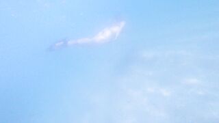 [2 of 85 Vids] Kimtylor_ (Kim Tylor_VIP) OnlyFans Leaks Nude 