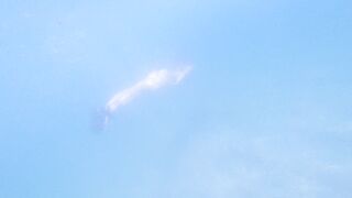 [2 of 85 Vids] Kimtylor_ (Kim Tylor_VIP) OnlyFans Leaks Nude 