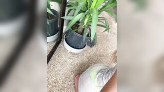 [81 of 130 Vids] Kaylynnxxx (Kaylynn) OnlyFans Leaks Nude