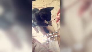 [115 of 266 Vids] Amira Brie (amirabrie) OnlyFans Leaks Nude Raffles