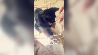 [115 of 266 Vids] Amira Brie (amirabrie) OnlyFans Leaks Nude Raffles