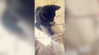 [115 of 266 Vids] Amira Brie (amirabrie) OnlyFans Leaks Nude Raffles