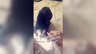 [115 of 266 Vids] Amira Brie (amirabrie) OnlyFans Leaks Nude Raffles