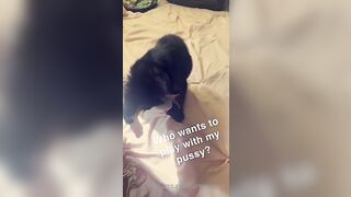 [115 of 266 Vids] Amira Brie (amirabrie) OnlyFans Leaks Nude Raffles