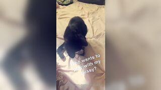 [115 of 266 Vids] Amira Brie (amirabrie) OnlyFans Leaks Nude Raffles