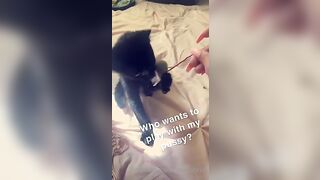 [115 of 266 Vids] Amira Brie (amirabrie) OnlyFans Leaks Nude Raffles