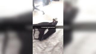 [21 of 230 Vids] Jaydajusa (Jayda Jacobs) OnlyFans Leaks Nude Ebony