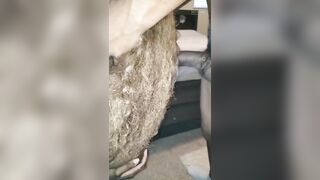 [93 of 230 Vids] Jaydajusa (Jayda Jacobs) OnlyFans Leaks Nude Ebony