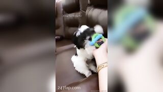 Rosa Verte (rosaverter) onlyfans Onlyfans Leaked Girl Model Porn Video 302