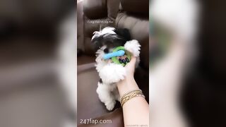 Rosa Verte (rosaverter) onlyfans Onlyfans Leaked Girl Model Porn Video 302