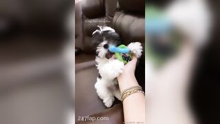 Rosa Verte (rosaverter) onlyfans Onlyfans Leaked Girl Model Porn Video 302