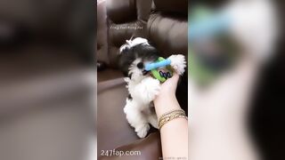 Rosa Verte (rosaverter) onlyfans Onlyfans Leaked Girl Model Porn Video 302