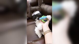 Rosa Verte (rosaverter) onlyfans Onlyfans Leaked Girl Model Porn Video 302