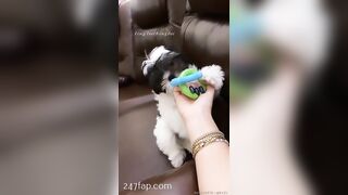 Rosa Verte (rosaverter) onlyfans Onlyfans Leaked Girl Model Porn Video 302