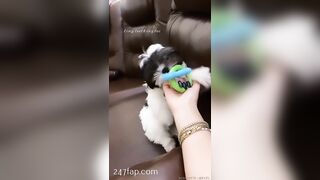 Rosa Verte (rosaverter) onlyfans Onlyfans Leaked Girl Model Porn Video 302