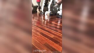 Flawlesseva26 (Silvia) onlyfans Onlyfans Leaked Girl Model Porn Video 183