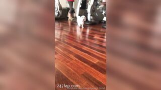 Flawlesseva26 (Silvia) onlyfans Onlyfans Leaked Girl Model Porn Video 183