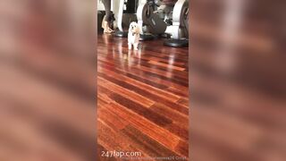 Flawlesseva26 (Silvia) onlyfans Onlyfans Leaked Girl Model Porn Video 183