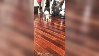 Flawlesseva26 (Silvia) onlyfans Onlyfans Leaked Girl Model Porn Video 183