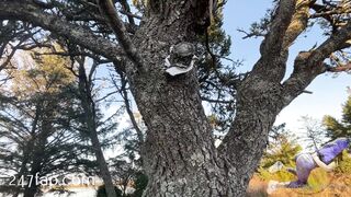 Wedgieanonymous (Wedgie Anonymous) Onlyfans Leaks Girl Model Porn Video 39