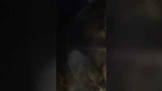 [1050 of 2462 Vids] Edwinacarlaisaac (Edwina) OnlyFans Leaks Nude Ebony