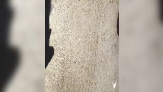 [1053 of 2462 Vids] Edwinacarlaisaac (Edwina) OnlyFans Leaks Nude Ebony