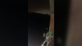 [1142 of 2462 Vids] Edwinacarlaisaac (Edwina) OnlyFans Leaks Nude Ebony