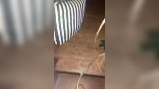 [1143 of 2462 Vids] Edwinacarlaisaac (Edwina) OnlyFans Leaks Nude Ebony