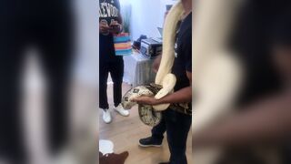 [1153 of 2462 Vids] Edwinacarlaisaac (Edwina) OnlyFans Leaks Nude Ebony