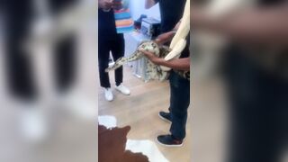 [1153 of 2462 Vids] Edwinacarlaisaac (Edwina) OnlyFans Leaks Nude Ebony