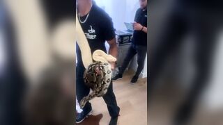 [1153 of 2462 Vids] Edwinacarlaisaac (Edwina) OnlyFans Leaks Nude Ebony