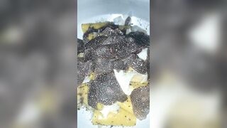 [1277 of 2462 Vids] Edwinacarlaisaac (Edwina) OnlyFans Leaks Nude Ebony