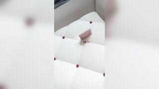 [1280 of 2462 Vids] Edwinacarlaisaac (Edwina) OnlyFans Leaks Nude Ebony