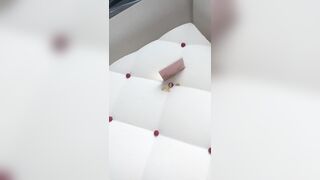 [1280 of 2462 Vids] Edwinacarlaisaac (Edwina) OnlyFans Leaks Nude Ebony