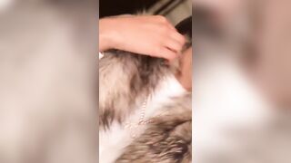 [132 of 2462 Vids] Edwinacarlaisaac (Edwina) OnlyFans Leaks Nude Ebony