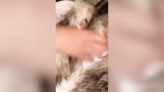 [132 of 2462 Vids] Edwinacarlaisaac (Edwina) OnlyFans Leaks Nude Ebony