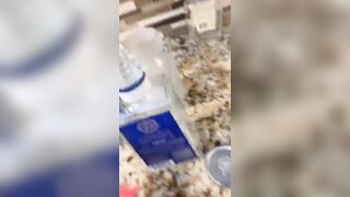 [1343 of 2462 Vids] Edwinacarlaisaac (Edwina) OnlyFans Leaks Nude Ebony