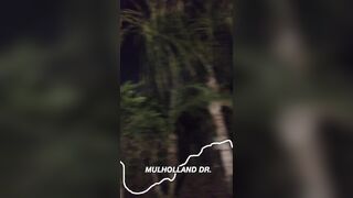 [1394 of 2462 Vids] Edwinacarlaisaac (Edwina) OnlyFans Leaks Nude Ebony