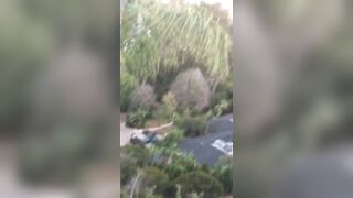 [1397 of 2462 Vids] Edwinacarlaisaac (Edwina) OnlyFans Leaks Nude Ebony