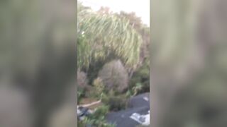 [1397 of 2462 Vids] Edwinacarlaisaac (Edwina) OnlyFans Leaks Nude Ebony