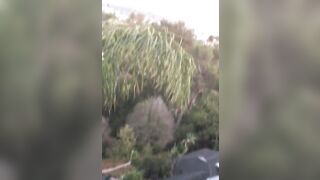 [1397 of 2462 Vids] Edwinacarlaisaac (Edwina) OnlyFans Leaks Nude Ebony